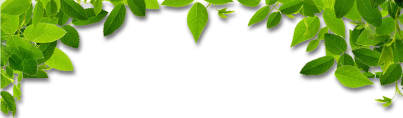 宜蘭民宿照片, 輕鬆居, 便宜民宿